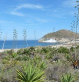 Parc Naturel du Cap de Gata - Almeria © Andha Luz