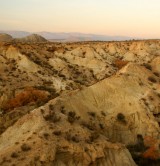 Désert de Tabernas © Junta Andalucia