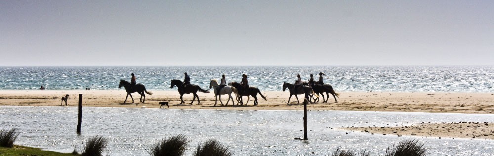a cheval