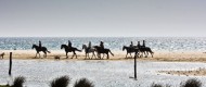 a cheval